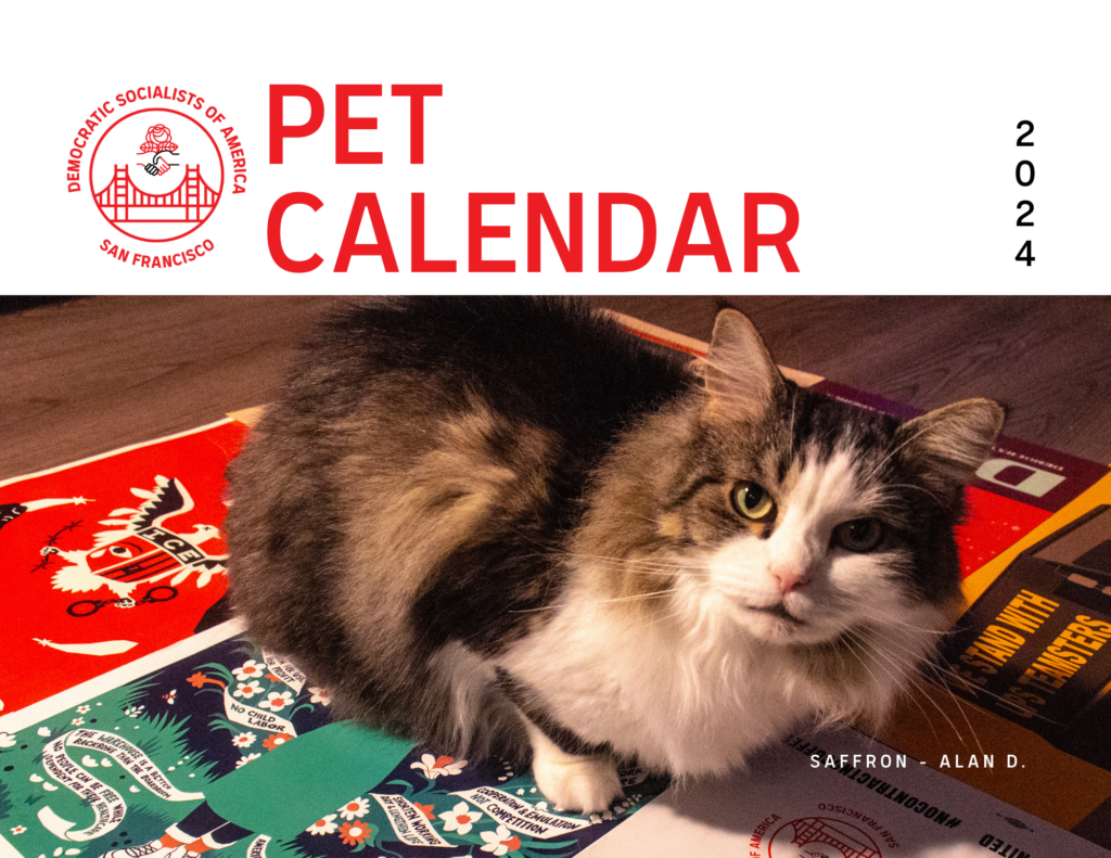 DSA SF 2024 Pet Calendar cover, featuring a photo of a long-haired cat named Saffron by Alan D.