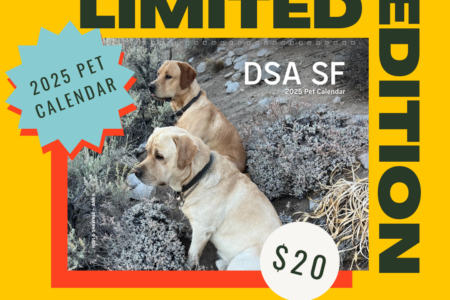 Limited edition 2025 DSA SF Pet Calendar! $20! Pre-order yours now!