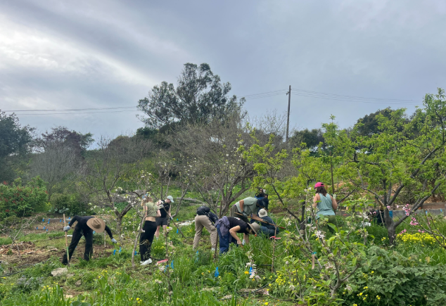Image of people weeding at Alemany Farm